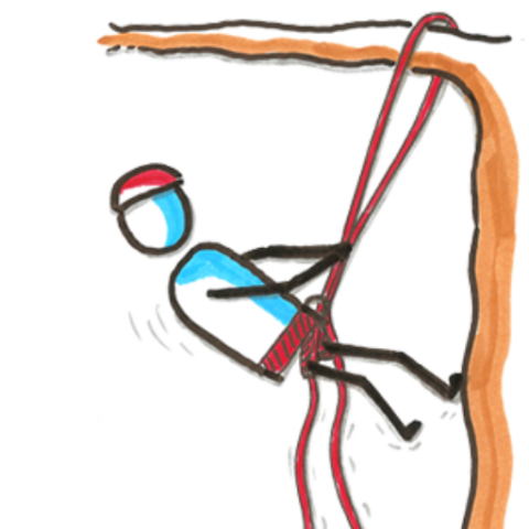 Baumkletterkurs Hamburg – Das Programm